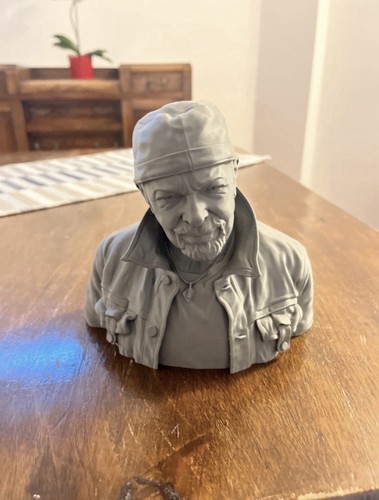 Busto vasco rossi stampato - vasco,
