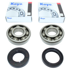 Cuscinetto albero motore