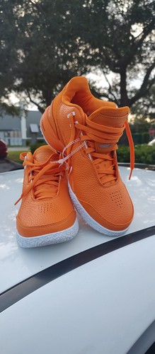 Nike zoom lebron lxxn - zoom, orange