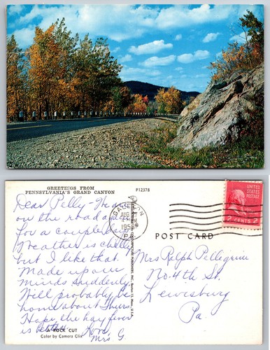 Cartolina pennsylvanias grand - cartolina,