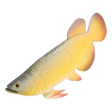  Pesci Finti Per Acquario