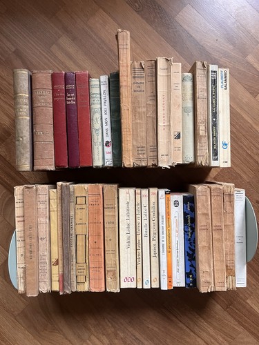 Lotto libri lingua francese - lotto,