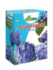 AZZURRANTE PER ORTENSIE in