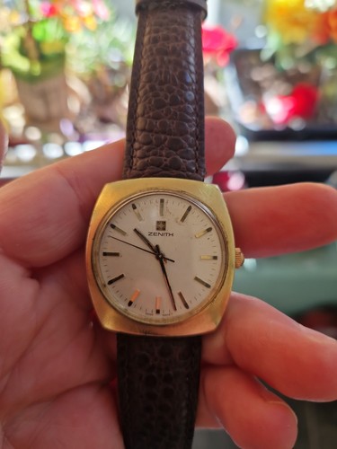 Zenith surf vintage - vintage, carica
