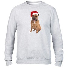 Staffie Cappello Natalizio