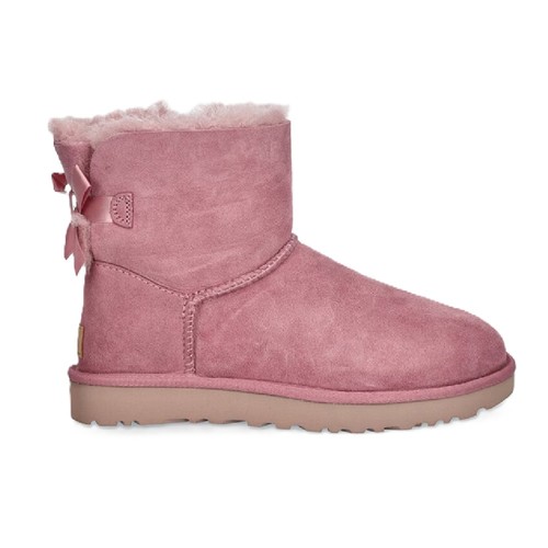 Orchidea polverosa ugg - orchidea, mini