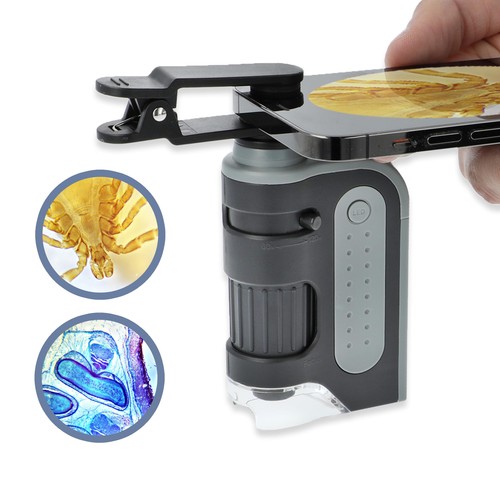 Microscopio tascabile 60x 120x - microscopio,