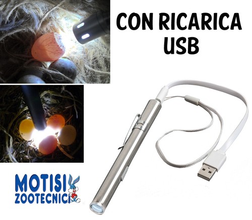 Penna spera uova - , canarini