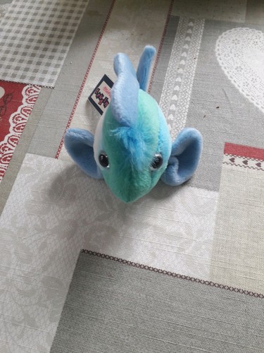 Piccolo pesce trudi - pesce,