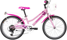 Bici bicicletta mountabike - bicicletta,