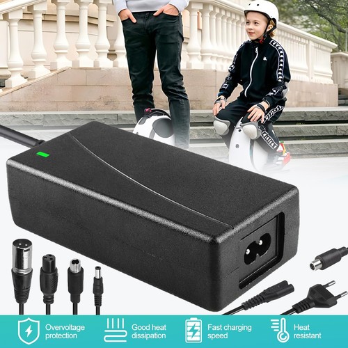 Caricabatterie scooter 42v - caricabatterie, 2a