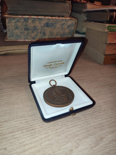 Medaglia bronzo leone - medaglia, xiii