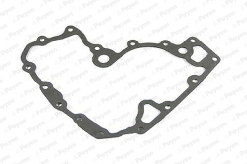 Payen kk5597 guarnizione - kk5597,