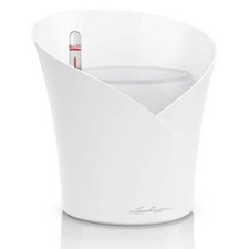 Lechuza orchidea vaso - lechuza,
