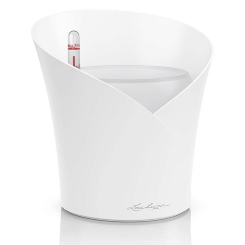 Lechuza orchidea vaso - lechuza,