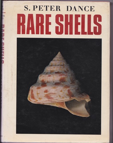 Rare shells peter dance - rare,
