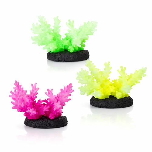 Nobleza corallo fluorescente - corallo,