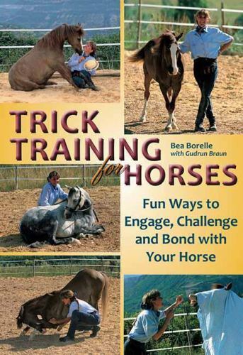 Trick training for horses - trick,