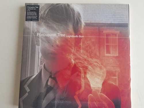 Porcupine tree lightbulb - porcupine,