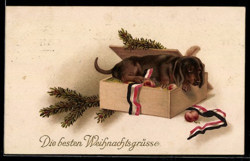 Cartolina cucciolo bassotto - , in
