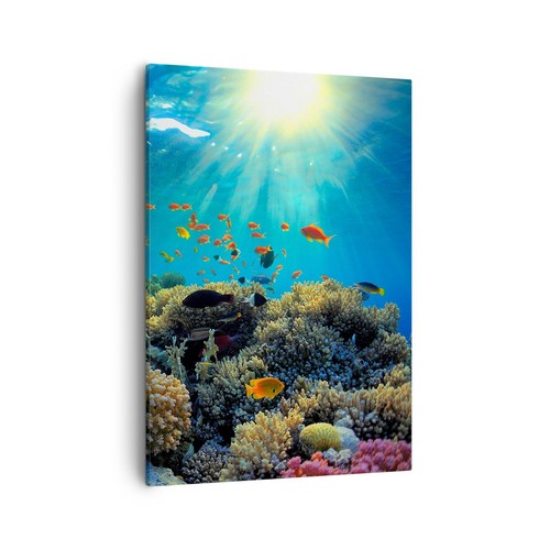 Quadro tela 50x70cm - tela,