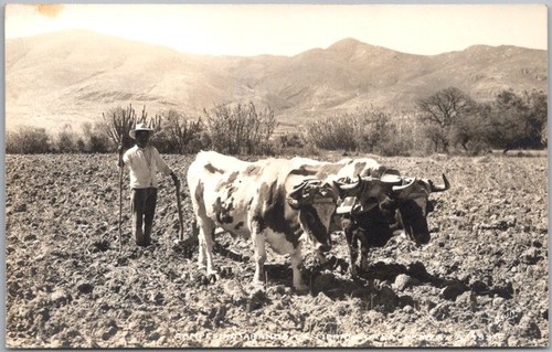 Cartolina epoca messico - cartolina,