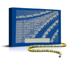 CATENA DISTRIBUZIONE 92RH2005M