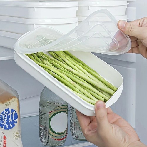 Contenitore organizzatore - contenitore,