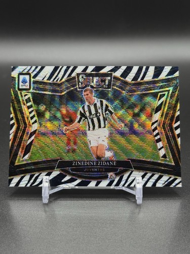 Zinedine zidane zebra - zinedine,