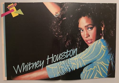 Whitney houston stephanie - whitney,