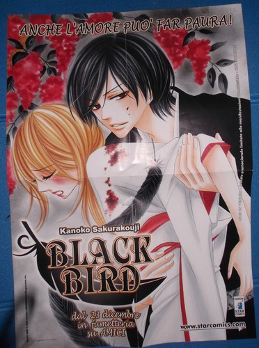 Black bird poster - black,