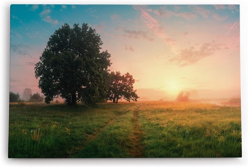 Quadro 120x80 alba - quadro, cm