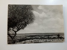 Cartolina San Nicandro Garganico Terre ed Acque Di Sagri Foggia 