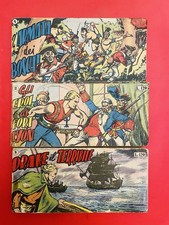 Falco Bianco Raccoltina