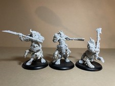 Unità Warmachine (3 modelli)