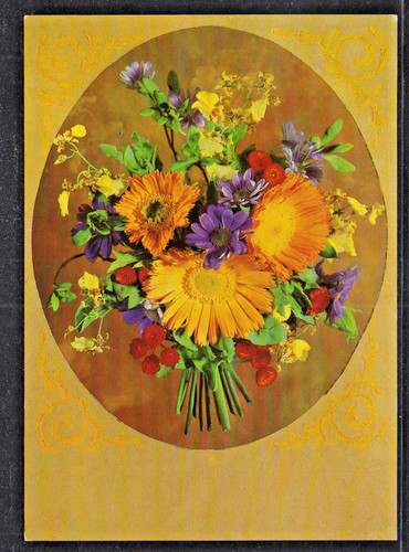 D342 vecchia cartolina - d342#,