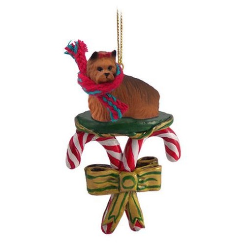 Yorkshire terrier yorkie candy - yorkie,