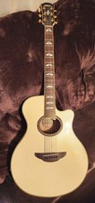 Chitarra acustica-elettrica