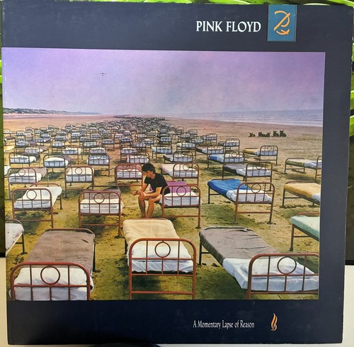 Pink floyd momentary lapse - -, a