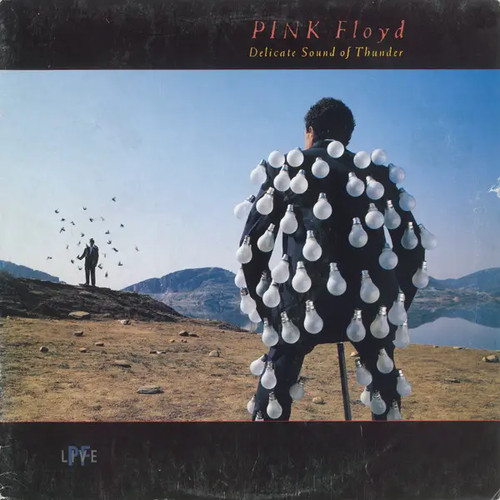 Pink floyd delicate - delicate, of