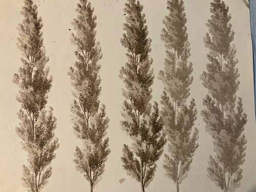 Molto bello disegno xix - molto,
