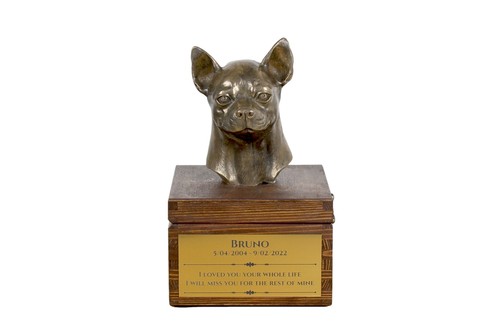 Chihuahua pelo corto urna - a,