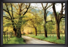 Warm Morning Light Wall Art - 24"x36" - cornice nera semplice