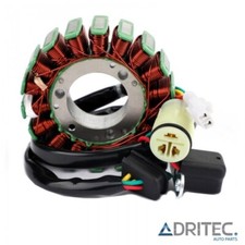 ✅ Alternatore Statore per