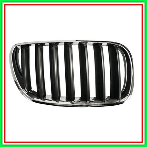 Griglia radiatore destra - griglia,