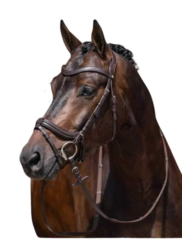 Briglia dressage anatomica - briglia,