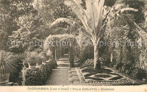Cadenabbia lago como villa - cadenabbia, di