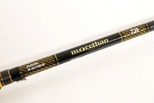 DAIWA Morethan Branzino EX AGS