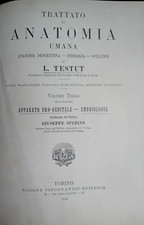 Trattato di anatomia umana