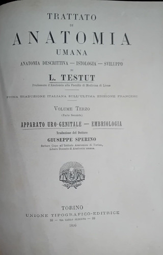Trattato anatomia umana - trattato,